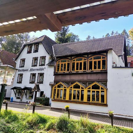 Waldhotel Pfarrmuehle Eisenberg  Exteriér fotografie
