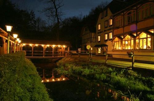 Waldhotel Pfarrmuehle Eisenberg  Exteriér fotografie