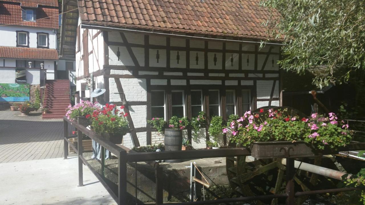 Waldhotel Pfarrmuehle Eisenberg  Exteriér fotografie